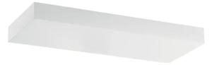 REGOLO ZIDNA SVJETILJKA IP40/4183lm/3000K BIJELA LL9045