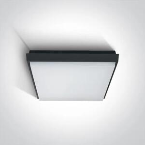 PLAFONJERA LED/30W/2500lm/3000K/230V IP54 ANTRACIT DM67363A/AN/W