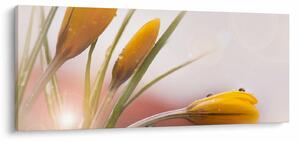 Slika - Proljetno cvijeće (120x50 cm)