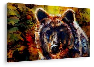 Slika - Slikani medvjed (90x60 cm)