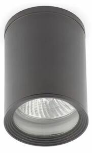 TASA STROPNA SVJETILJKA SIVA 1X PAR30 75W FR70806