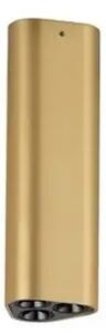 ETHO STROPNI REFLEKTOR ZLATNI LED 6W 454lm 3000K IP20 NL9695156