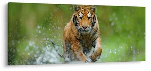 Slika - Tigar koji trči (120x50 cm)