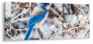 Slika - Zimska ptica (120x50 cm)