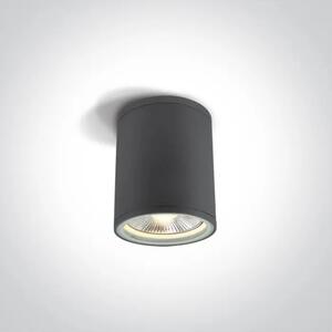 STROPNA SVJETILJKA 1×E27/75W/PAR30/230V IP54 ANTRACIT DM67132C/AN