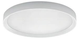 TARA PLAFONJERA IP40/4883lm/3000K BIJELA LL8340