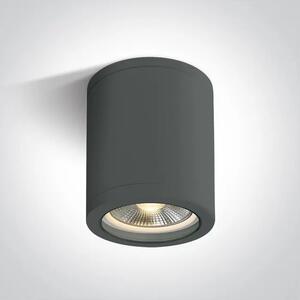 STROPNA SVJETILJKA E27 10w PAR30 IP65 ANTRACIT DM67142C/AN