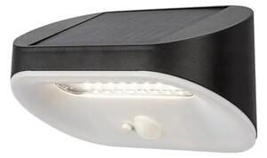 BREZNO SOLARNA SVJETILJKA LED 3,2/CRNA/IP44/145lm RA77006