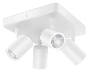 WIZ IMAGEO REFLEKTOR 4X5W BIJELI 22-65K RGB SQ 8719514554559