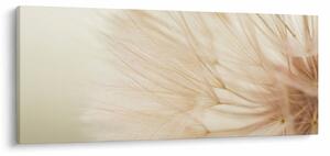 Slika - Detalji cvijeta (120x50 cm)