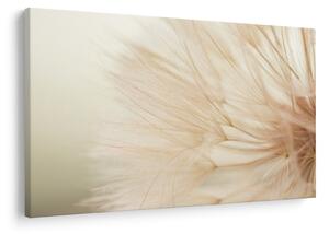 Slika - Detalji cvijeta (90x60 cm)