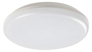 ERIC VANJSKA STROPNA SVJETILJKA LED 24/BIJELA/IP64/2160lm RA7979