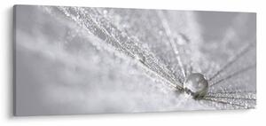 Slika - Kap vode (120x50 cm)