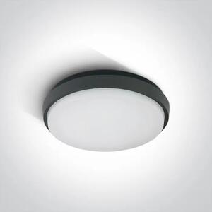 PLAFONJERA LED/30W/2500lm/3000K/230V IP54 ANTRACIT DM67363/AN/W