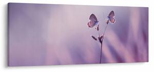 Slika - Ljubičasti leptirići (120x50 cm)