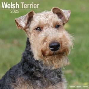 Kalendar 2025 Welsh Terrier