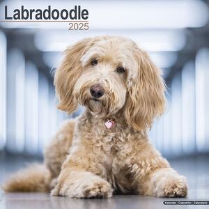 Kalendar 2025 Labradoodle