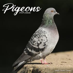 Kalendar 2025 Pigeons