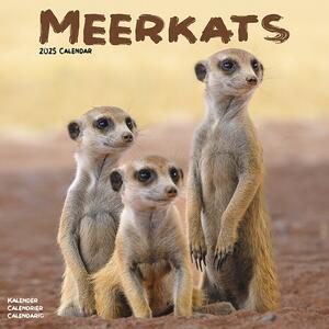 Kalendar 2025 Meerkats