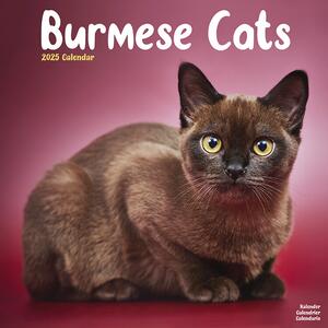 Kalendar 2025 Cats - Burmese