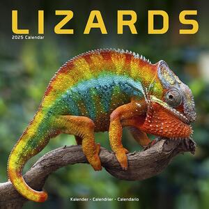 Kalendar 2025 Lizards