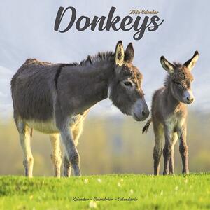 Kalendar 2025 Donkeys