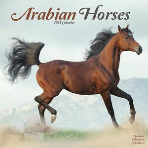 Kalendar 2025 Arabian Horses