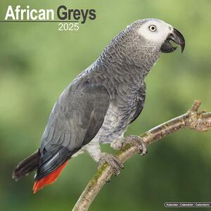 Kalendar 2025 African Greys