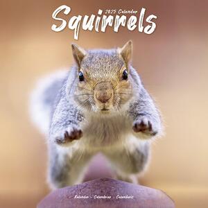 Kalendar 2025 Squirrels