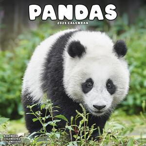 Kalendar 2025 Pandas