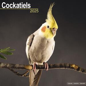 Kalendar 2025 Cockatiels