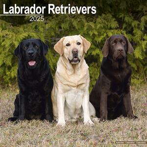 Kalendar 2025 Labrador Ret