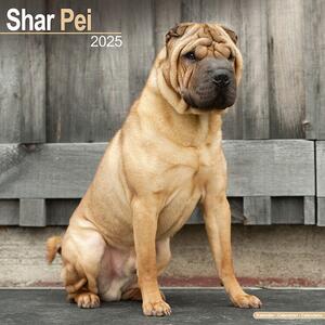 Kalendar 2025 Shar Pei