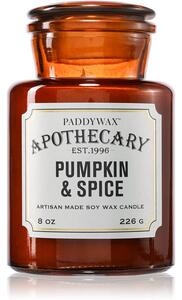 Paddywax Apothecary Pumpkin Spice mirisna svijeća 226 g