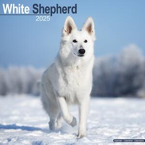 Kalendar 2025 White Shepherd