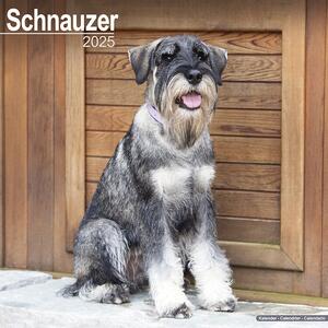 Kalendar 2025 Schnauzer