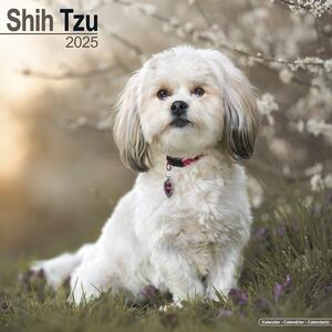 Kalendar 2025 Shih Tzu