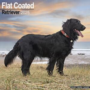 Kalendar 2025 Flatcoated Retriever