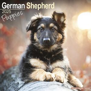 Kalendar 2025 German Shepherd Puppies