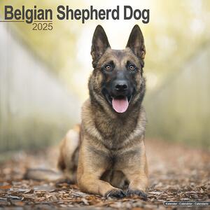 Kalendar 2025 Belgian Shepherd Dog