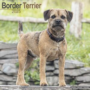 Kalendar 2025 Border Terrier