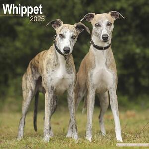 Kalendar 2025 Whippet