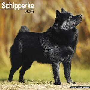 Kalendar 2025 Schipperke