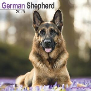 Kalendar 2025 German Shepherd