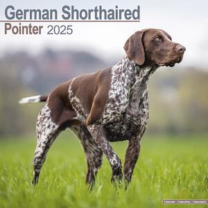 Kalendar 2025 German ShortHair Pointer