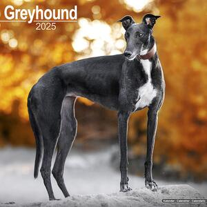 Kalendar 2025 Greyhound