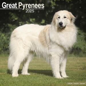 Kalendar 2025 Great Pyrenees