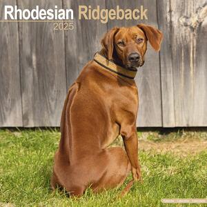 Kalendar 2025 Rhodesian Ridgeback