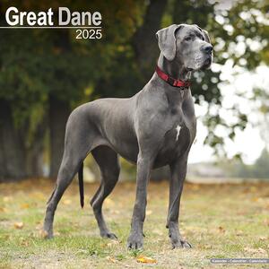 Kalendar 2025 Great Dane