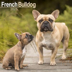 Kalendar 2025 French Bulldog